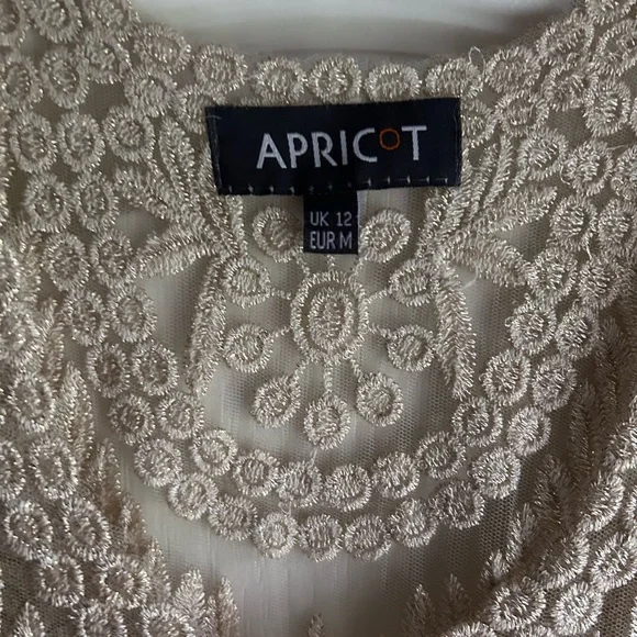 APRICOT Sheer Metallic Sparkle Embroidered Tank Top Fairy Whimsigoth Boho | Sz M - Picture 2 of 16